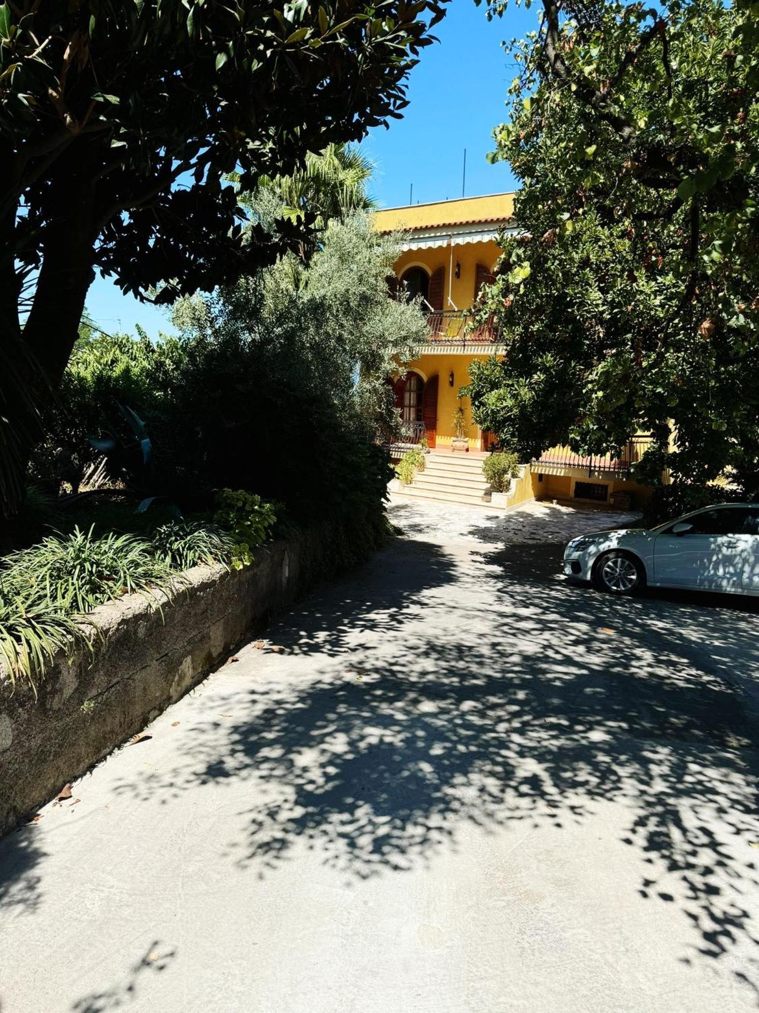 Ciro Apartment